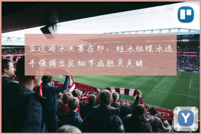 亚运游泳决赛在即，蛙泳组蝶泳选手强调出发细节成胜负关键