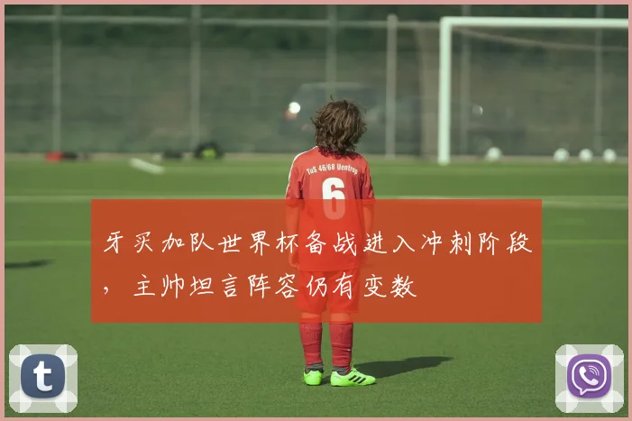 牙买加队世界杯备战进入冲刺阶段，主帅坦言阵容仍有变数