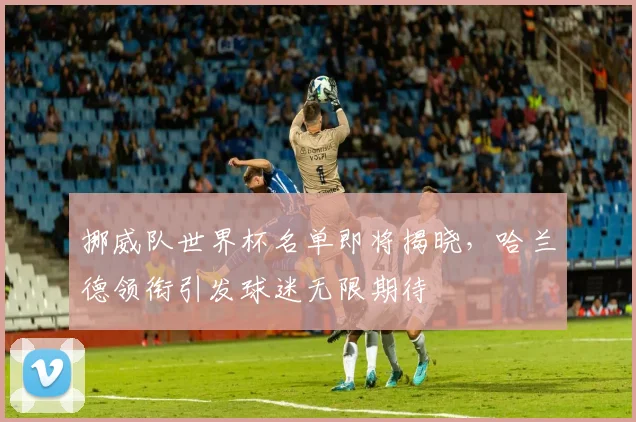 挪威队世界杯名单即将揭晓，哈兰德领衔引发球迷无限期待
